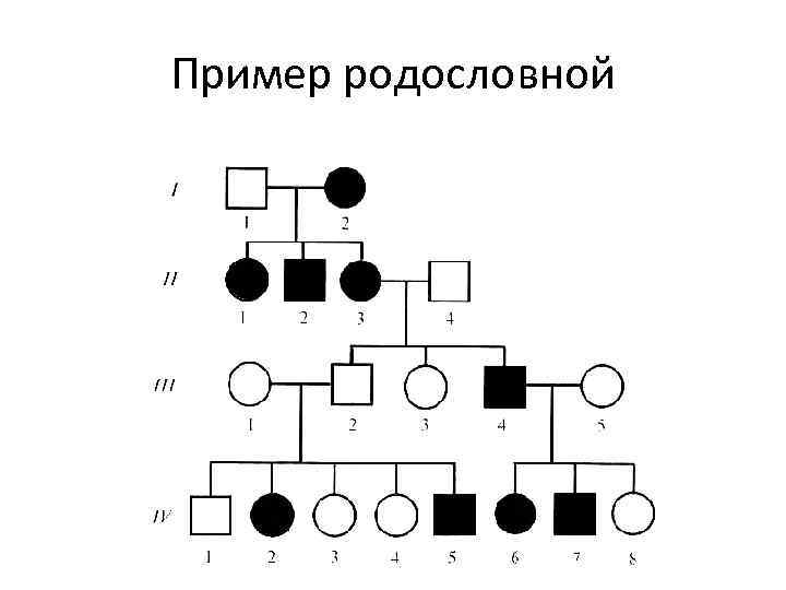 В медицинской генетике широко используется генеалогический метод используя предложенную схему