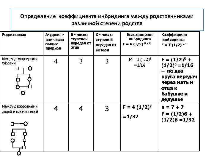    Определение коэффициента инбридинга между родственниками     различной степени