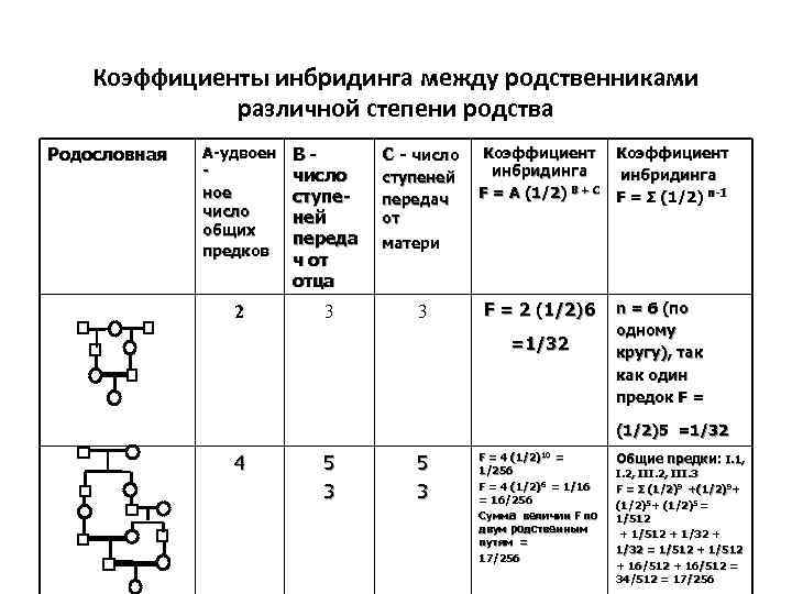   Коэффициенты инбридинга между родственниками    различной степени родства Родословная 
