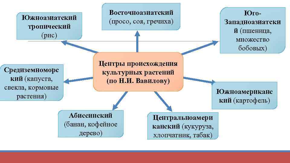       Восточноазиатский     Юго- Южноазиатский 