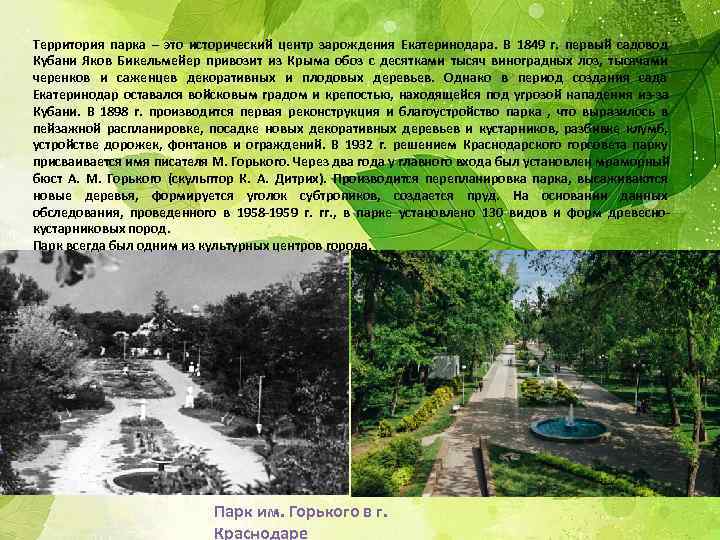 Территория парка – это исторический центр зарождения Екатеринодара. В 1849 г. первый садовод Кубани