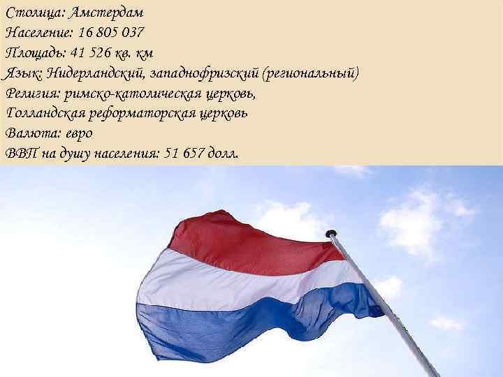 Столица: Амстердам Население: 16 805 037 Площадь: 41 526 кв. км Язык: Нидерландский, западнофризский Столица: Амстердам Население: 16 805 037 Площадь: 41 526 кв. км Язык: Нидерландский, западнофризский