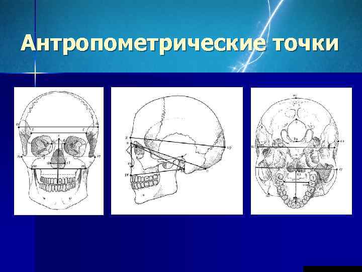 Антропометрические точки 