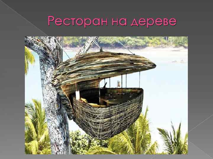 Ресторан на дереве 