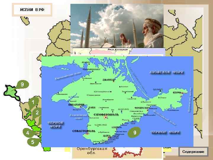 ИСЛАМ В РФ       7 9   