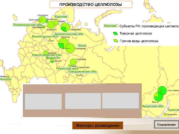       ПРОИЗВОДСТВО ЦЕЛЛЮЛОЗЫ      Карелия