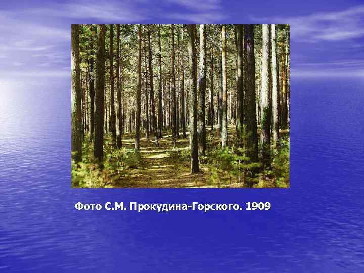 Фото С. М. Прокудина-Горского. 1909 