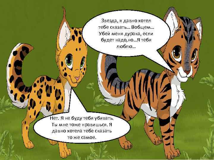      Звезда, я давно хотел     тебе