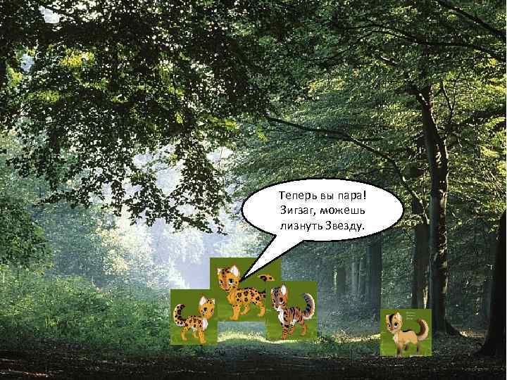 Теперь вы пара! Зигзаг, можешь лизнуть Звезду. 