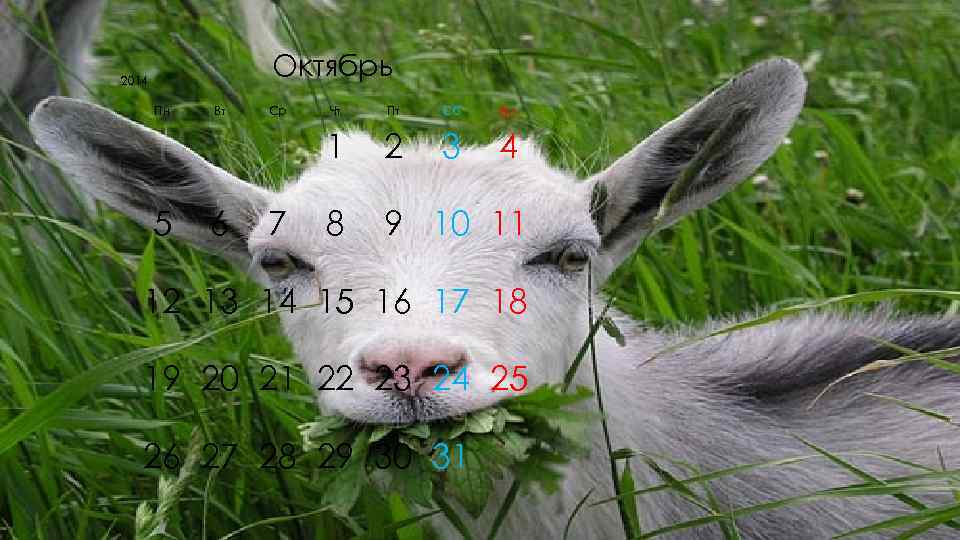 2014   Октябрь  Пн  Вт  Ср  Чт  Пт