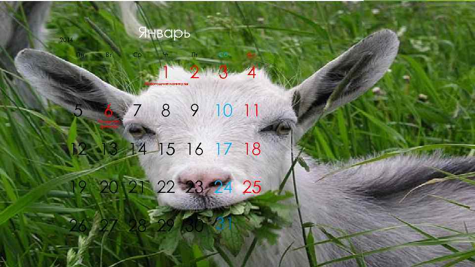 2014     Январь  Пн Вт  Ср   Чт
