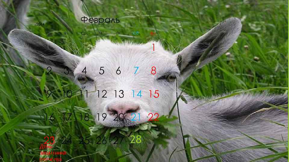 2014   Февраль  Пн  Вт  Ср  Чт  Пт