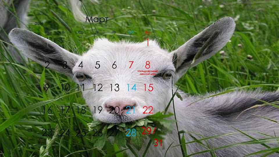 2014    Март  Пн  Вт  Ср  Чт 