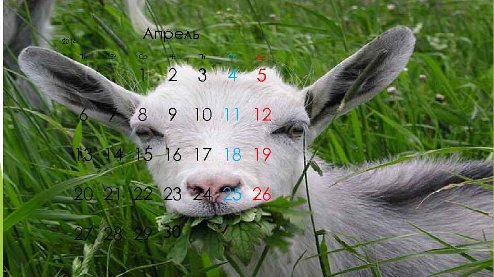 2014   Апрель  Пн  Вт  Ср  Чт  Пт
