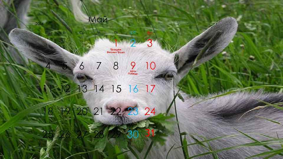 2014    Май  Пн  Вт  Ср  Чт 