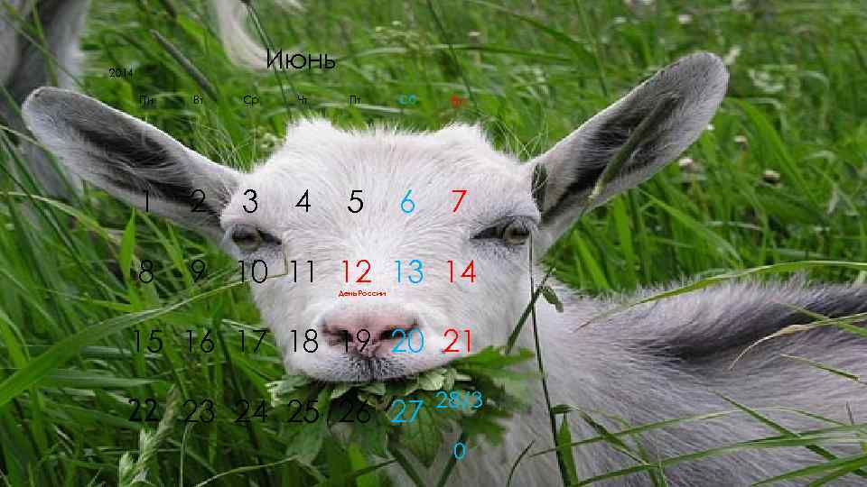 2014    Июнь  Пн  Вт  Ср  Чт Пт