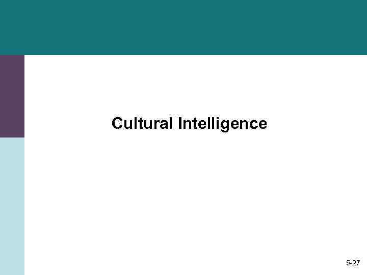 Cultural Intelligence     5 -27 