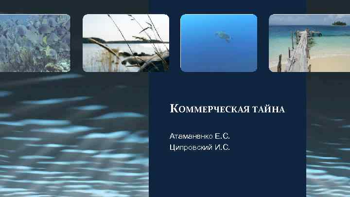 КОММЕРЧЕСКАЯ ТАЙНА Атаманенко Е. С. Ципровский И. С. 