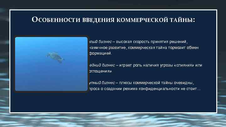 ОСОБЕННОСТИ ВВЕДЕНИЯ КОММЕРЧЕСКОЙ ТАЙНЫ:    Малый бизнес – высокая скорость принятия решений,