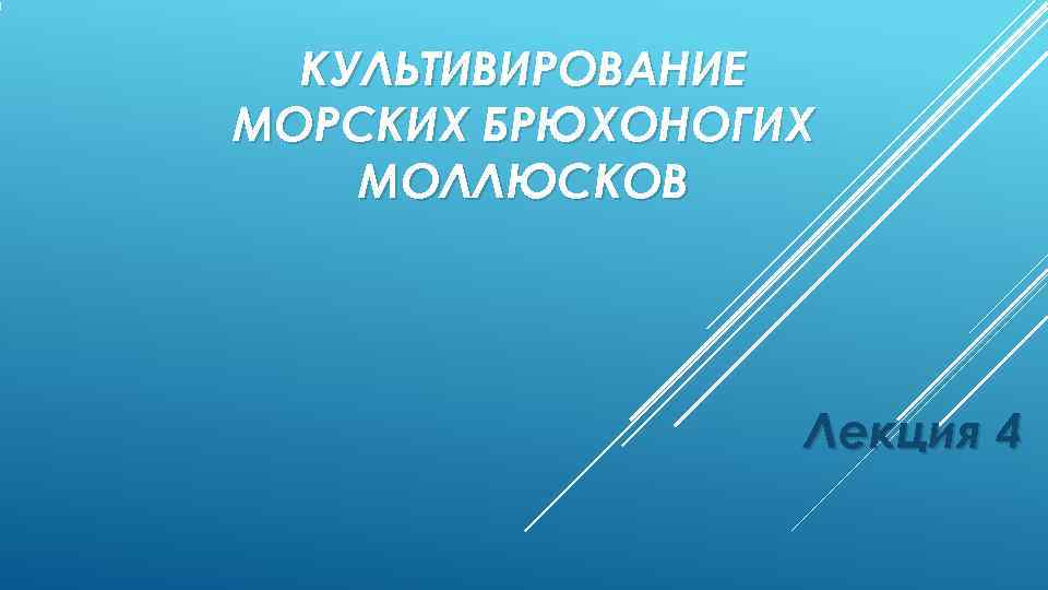  КУЛЬТИВИРОВАНИЕ МОРСКИХ БРЮХОНОГИХ МОЛЛЮСКОВ     Лекция 4 