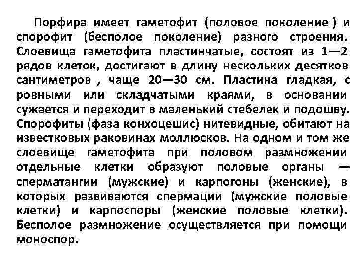   Порфира имеет гаметофит (половое поколение ) и спорофит (бесполое поколение) разного строения.