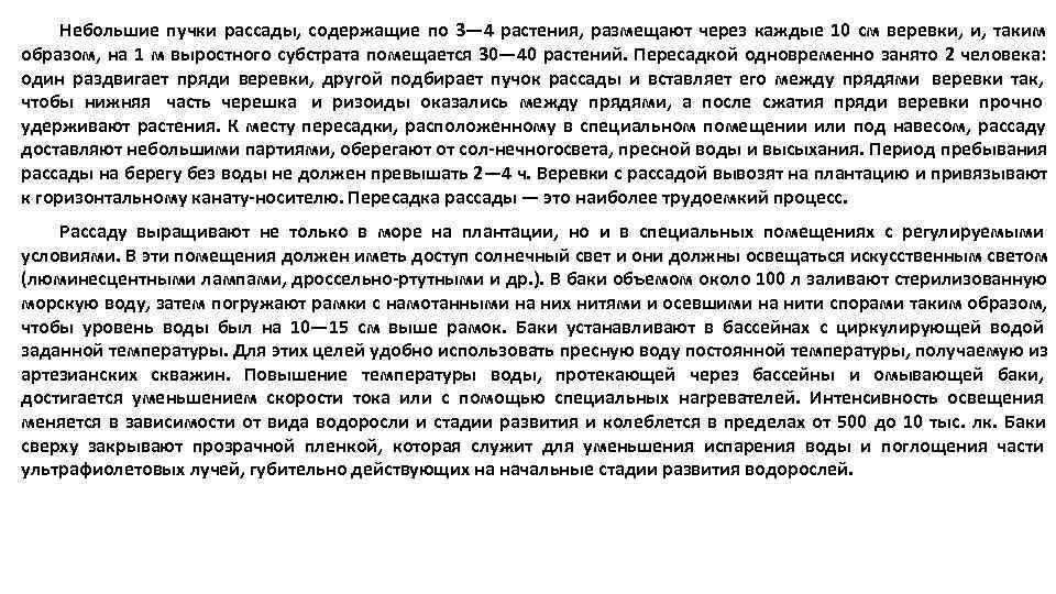  Небольшие пучки рассады, содержащие по 3— 4 растения, размещают через каждые 10 см