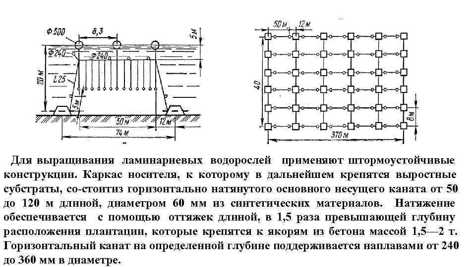  Для выращивания ламинариевых водорослей применяют штормоустойчивые конструкции. Каркас носителя, к которому в дальнейшем