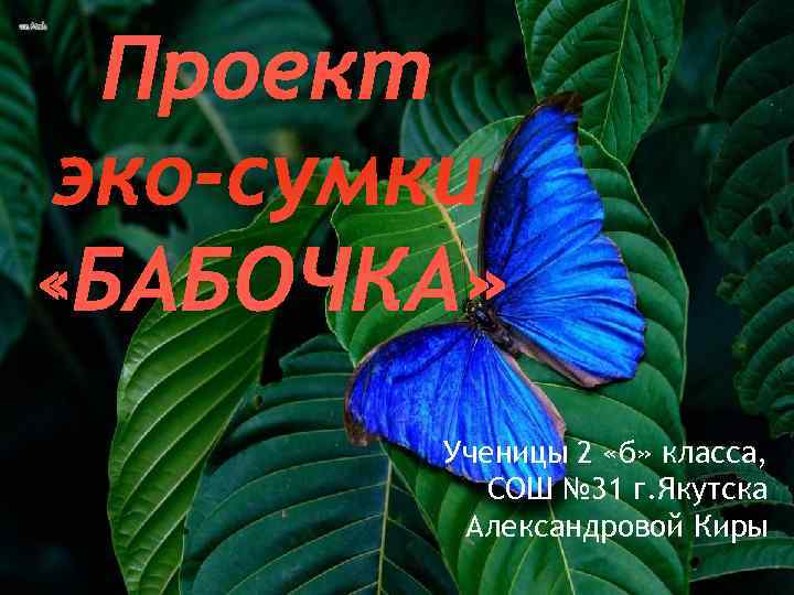  Проект эко-сумки «БАБОЧКА»   Ученицы 2 «б» класса,   СОШ №