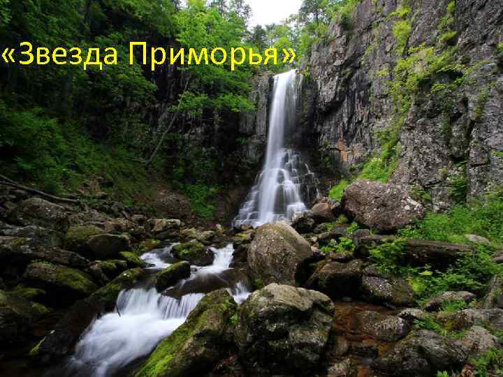  «Звезда Приморья» 