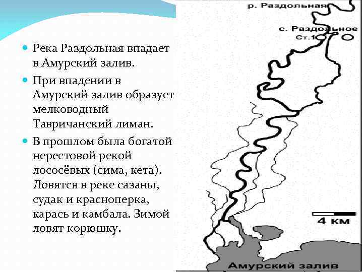 Раздольное уссурийск карта