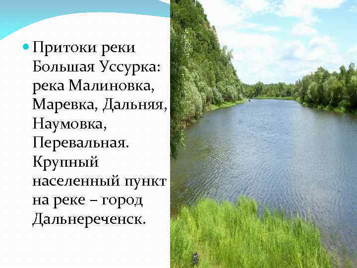  Притоки реки  Большая Уссурка: река Малиновка, Маревка, Дальняя, Наумовка, Перевальная. Крупный 