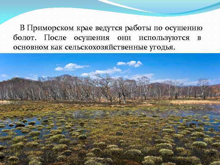 Пример рационального природопользования осушение болот. Богатство Приморского края. Водные богатства Приморского края. Водные богатства Приморского края 2 класс. Водные богатства Приморского края окружающий мир 2.