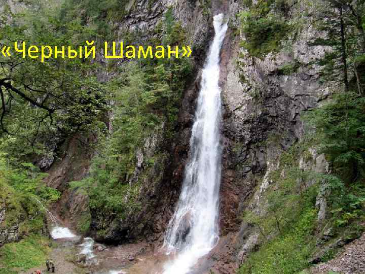  «Черный Шаман» 