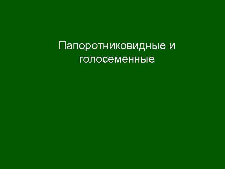 Папоротниковидные и голосеменные 