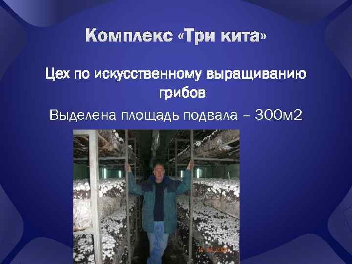  Комплекс «Три кита» Цех по искусственному выращиванию   грибов Выделена площадь подвала