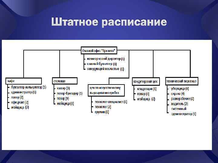 Штатное расписание 