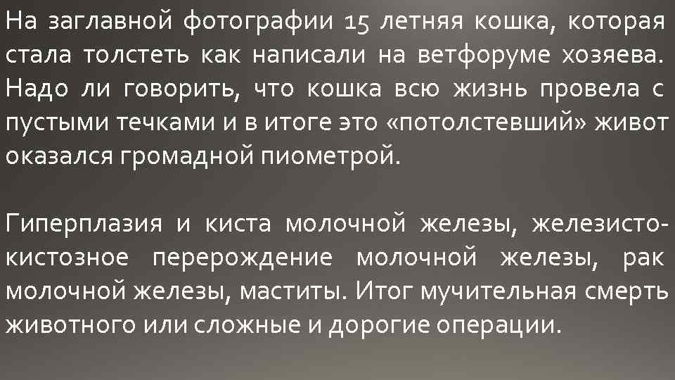 На заглавной фотографии 15 летняя кошка, которая стала толстеть как написали на ветфоруме хозяева.