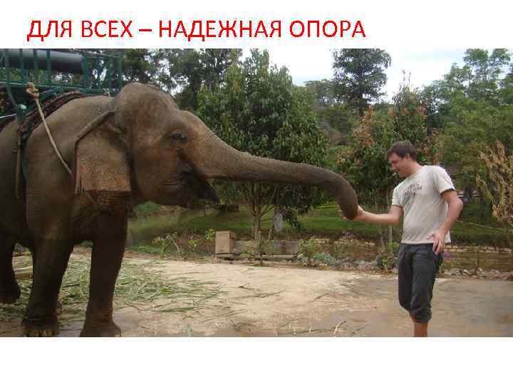 ДЛЯ ВСЕХ – НАДЕЖНАЯ ОПОРА 