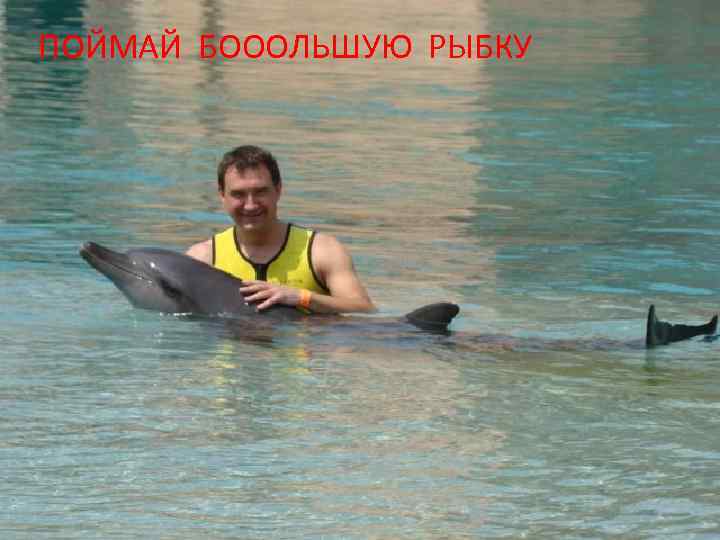 ПОЙМАЙ БОООЛЬШУЮ РЫБКУ 