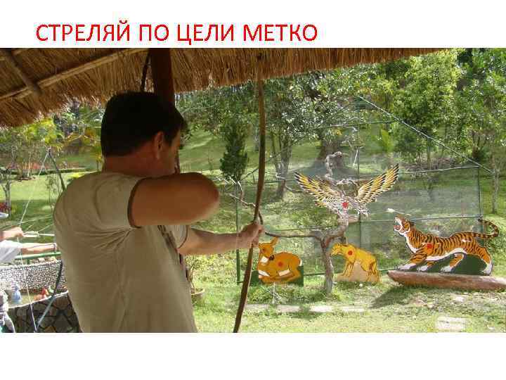 СТРЕЛЯЙ ПО ЦЕЛИ МЕТКО 