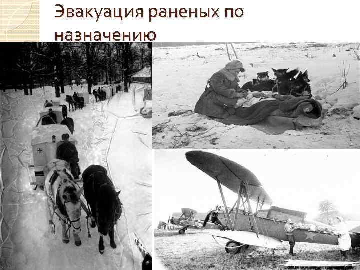 Эвакуация раненых по назначению Эвакуация раненых по назначению