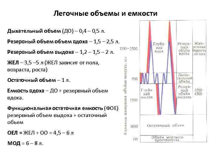 Нормальное дыхание схема