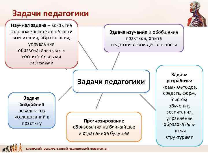 Задачи педагогики Научная задача – вскрытие закономерностей в области   Задача изучения и