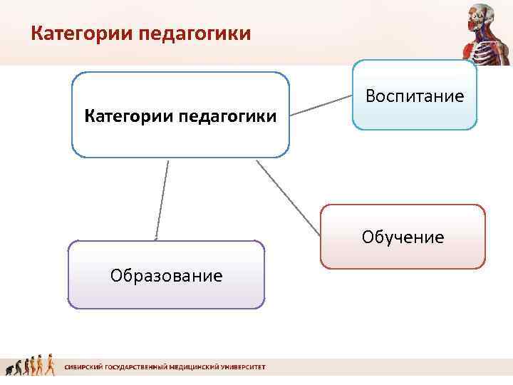 Категории педагогики     Воспитание Категории педагогики     