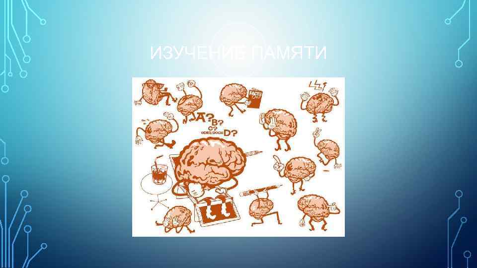 ИЗУЧЕНИЕ ПАМЯТИ 