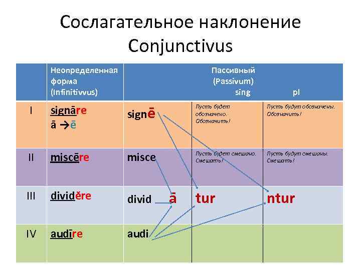 Глагол Грамматические категории. Словарная форма.