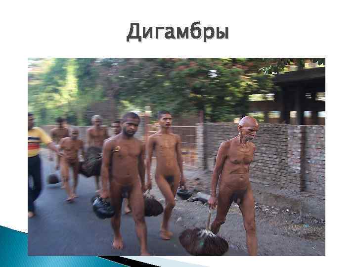 Дигамбры 