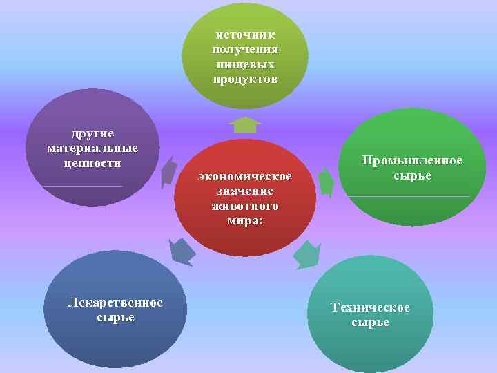     источник    получения     пищевых