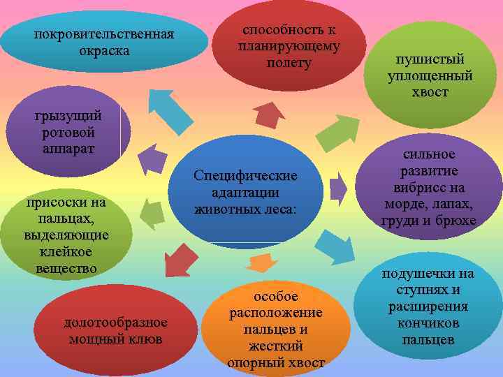 покровительственная окраска способность к планирующему полету грызущий ротовой аппарат присоски на пальцах, выделяющие клейкое