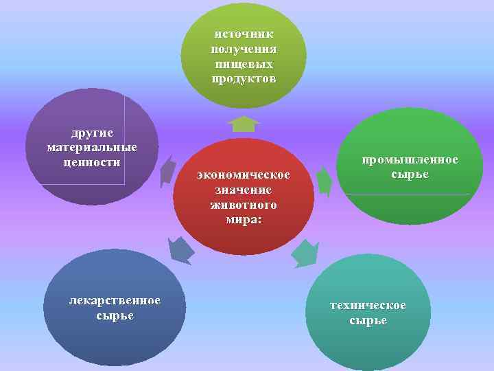 источник получения пищевых продуктов другие материальные ценности лекарственное сырье экономическое значение животного мира: промышленное